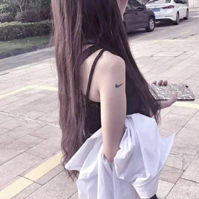 萌塔q传加速版下载